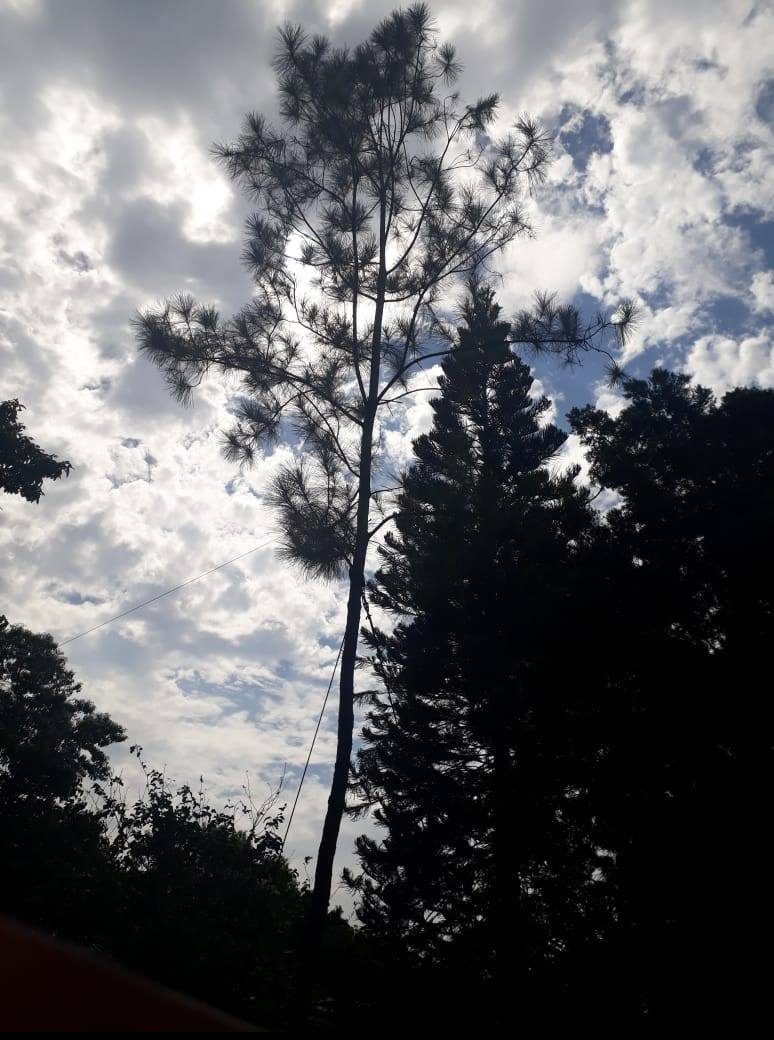 Amor por ti, amor por mi, amor por la naturaleza